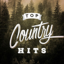 Album cover of Top Country Hits