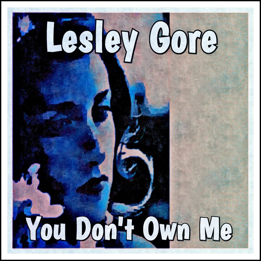 You don t own me. Lesley Gore you don't. Лесли гор you don't own me. You don't own me Lesley Gore текст. You don't own me Lesley Gore слушать.