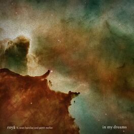 Album cover of In my dreams