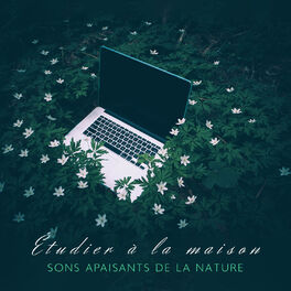 Album cover of Étudier à la maison: Sons apaisants de la nature - Super concentration, Concentrer, 15 conseils pour apprendre
