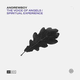 Album cover of The Voice of Angels / Spiritual Experience