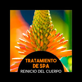 Album cover of Tratamiento de Spa - Reinicio del Cuerpo, Oasis de Alivio del Estrés, Sueños de Spa, Curación de la Terapia de Sonido, Bienestar
