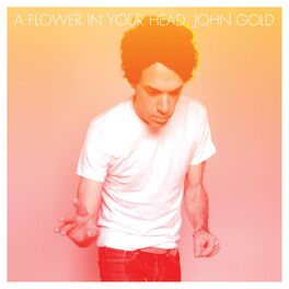 Album cover of A Flower in Your Head