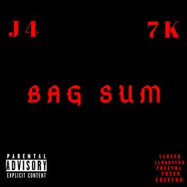 Album cover of Bag Sum