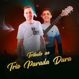 Album cover of Tributo ao Trio Parada Dura