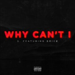 Album cover of Why Can't I (feat. Brick)