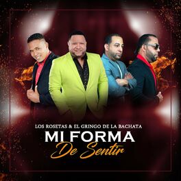 Album cover of Mi Forma De Sentir (feat. El Gringo de la Bachata)