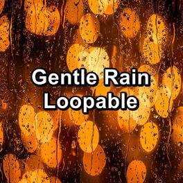 Album cover of Gentle Rain Loopable