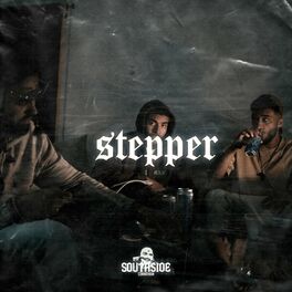 Album cover of Stepper