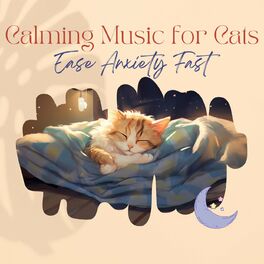 Anxiety music hotsell for cats