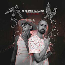 Album cover of Te pintaron pajaritos