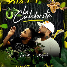 Album cover of La Culebrita