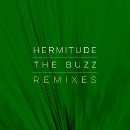 Album cover of The Buzz (Remixes)