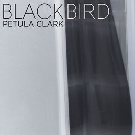 Album cover of Blackbird