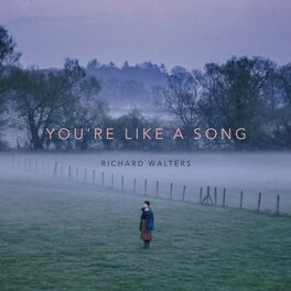 Album cover of You're Like a Song