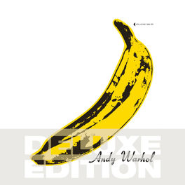 Album cover of The Velvet Underground & Nico 45th Anniversary (Deluxe Edition)