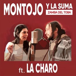 Album cover of Zamba Del Toba (Radio Edit)
