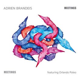 Album cover of Meetings