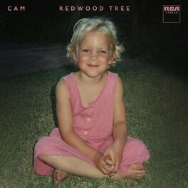 Album cover of Redwood Tree