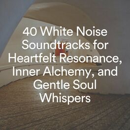 Album cover of 40 White Noise Soundtracks for Heartfelt Resonance, Inner Alchemy, and Gentle Soul Whispers