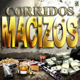 Album cover of Corridos Macizos