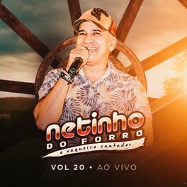Album cover of Netinho do Forro, Vol. 20 (Ao Vivo)