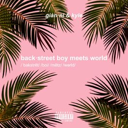 Album cover of backstreet boy meets world