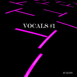 Album cover of Vocals #1 (Mixed by Disco Van)