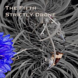 Album cover of The Fifth Strictly Drone
