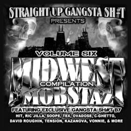 Album cover of Midwest Mobstaz Vol. 6