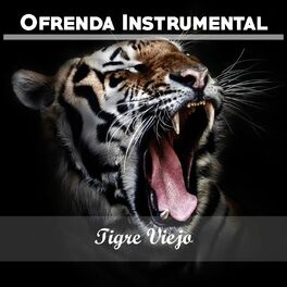 Album cover of Ofrenda Instrumental: Tigre Viejo