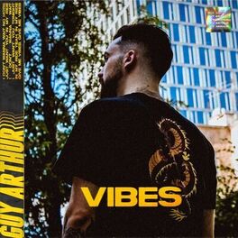 Album cover of Vibes