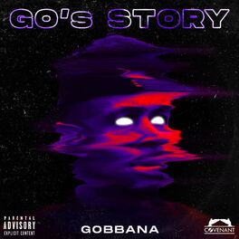 Album cover of Go's Story