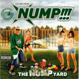 Album cover of The Nump Yard