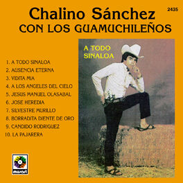 Album cover of A Todo Sinaloa