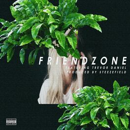 Album cover of Friendzone
