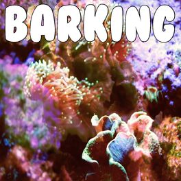 Album cover of Barking (I Might Link My Ting From Barking 7am In The Morning) (I Might Link My Ting From Barking (I Might Link My Ting From Barki