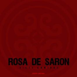Album cover of Siete Caminos