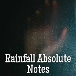 Album cover of Rainfall Absolute Notes