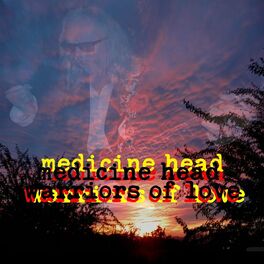 Album cover of Warriors of Love