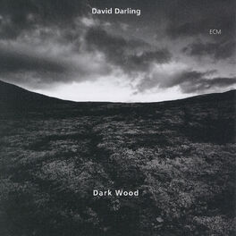 Album cover of Dark Wood