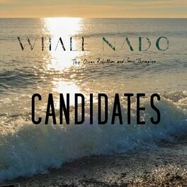 Album cover of Candidates