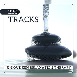 Album cover of 220 Tracks (Unique Zen Relaxation Therapy, Optimal Healing Spirituality Effects, Long Meditation Session)