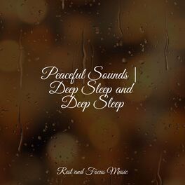 Album cover of Peaceful Sounds | Deep Sleep and Deep Sleep