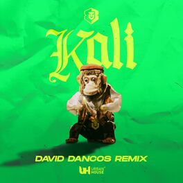 Album cover of Kali (David Dancos Remix)