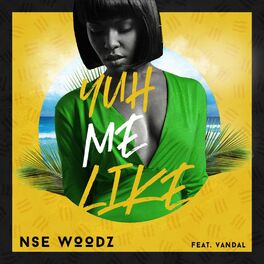 Album cover of Yuh Mi Like (feat. Vandal)