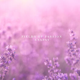 Album cover of Fields of Passion