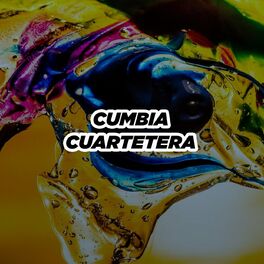 Album cover of Cumbia Cuartetera
