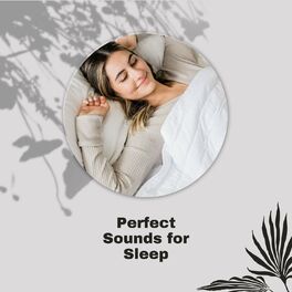 Album cover of Perfect Sounds For Sleep