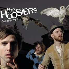 Album cover of Goodbye Mr A